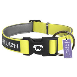 STUCH Veganes Hundehalsband aus Nylon gepolstert und verstellbar PETA Zertifiziert Farbe Grün Gelb Größe S – Bild 1 von 9