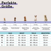 Produktbild von STUCH Y-Hundegeschirr gepolstert aus Nylon in Türkis Größe M PETA Zertifiziert