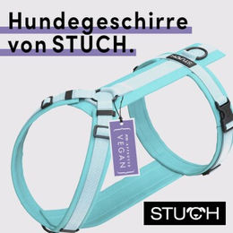 STUCH Y-Hundegeschirr gepolstert aus Nylon in Türkis Größe XS PETA zertifiziert – Bild 1 von 4