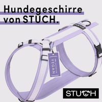 Produktbild von STUCH Y-Hundegeschirr gepolstert aus Nylon, Lila, Größe L, PETA Zertifiziert