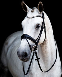Stübben Switch Magic Tack Trensenzaum mit Kandare aus Leder für Warmblut in Schwarz – Bild 1 von 1