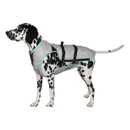 Suitical Dry Cooling Vest Kühlweste für Hunde Silber Größe S wasserabweisend – Bild 1 von 9