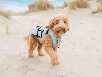 Suitical Kühlweste für Hunde XS Silber wasserabweisend – Bild 1 von 9