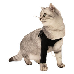 Suitical Recovery Front Leg Single Sleeve Katze Schwarz Größe XS – Bild 1 von 1