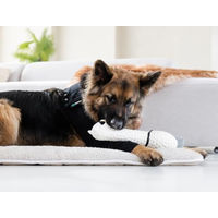 Produktbild von Suitical Recovery Sleeve Hund Schwarz XL aus Stoff
