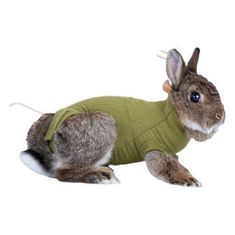 Suitical Recovery Suit für Kaninchen in Grün Größe L – Bild 1 von 1