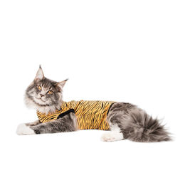 Suitical Recovery Suit für Katzen in Größe S aus Stoff in Grau – Bild 1 von 9