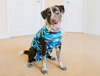 Suitical Recovery Suit Regenerationsanzug für Hunde aus Baumwolle Blau S – Bild 1 von 6