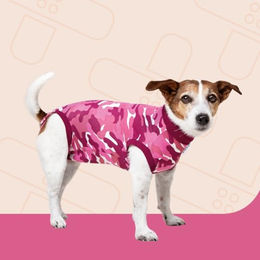 Suitical Recovery Suit Regenerationsanzug für Hunde XS Rosa – Bild 1 von 8