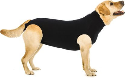 Suitical Recovery Suit Schutzanzug für Hunde Schwarz Größe S+ - 1 Stk. – Bild 1 von 10