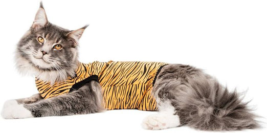 Suitical Regenerationsanzug für Katzen Grau XS – Bild 1 von 10