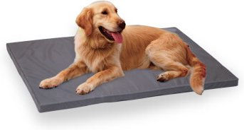 SunnyDogs Hundekissen Liegematte für Hundehütte extra dick 60 x 45 x 5 cm – Bild 1 von 1