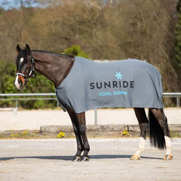 SUNRIDE Cool Down Kühldecke für Pferde 3-teilig mit Halsteil und Tuch Grau 125 cm – Bild 1 von 11