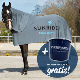 Sunride Cool Down Kühldecke mit Halsteil und Tuch in Grau – Bild 1 von 6