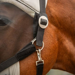 Sunride Dubai Fliegenmaske mit Halfter für Pferde in Grau – Bild 1 von 11