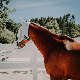 Sunride Fliegenmaske Miami für Pferde mit UV-Schutz und Nasenschutz in Weiß Größe M/Cob - 1 Stk. – Bild 1 von 7