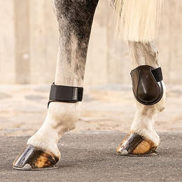 Sunride Gamaschen aus Leder für Pferde in Braun Grösse L – Bild 1 von 2