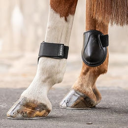 Sunride Gamaschen aus Leder für Pferde in Schwarz Größe L – Bild 1 von 2