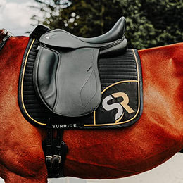 Produktbild von Sunride Kurzgurt Monaco für Pferde aus Echtleder mit D-Ring Schwarz 50 cm - 50 cm
