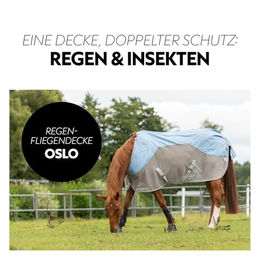 SUNRIDE Oslo Regen-Fliegendecke für Pferde 1200D wasserdicht mit abnehmbarem Halsteil blau grau 165cm – Bild 1 von 4
