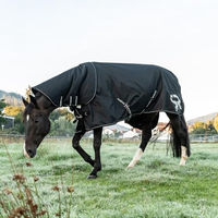 Produktbild von SUNRIDE Regendecke für Pferde Schwarz 125cm wasserdicht und atmungsaktiv