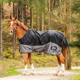 Sunride Stockholm Winterdecke für Pferde rot 145 cm mit 100g Füllung und 1200D Material - 100 g – Bild 1 von 5