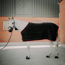 Sunride Unterdecke für Pferde 300g 125 cm - 300 g – Bild 1 von 7