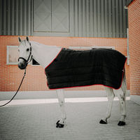 Produktbild von Sunride Unterdecke für Pferde 300g 135 cm - 300 g