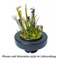 Produktbild von Superfish Schwimmender Pflanzenkorb für den Teich mit 22 cm Durchmesser