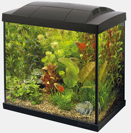 Superfish START 30 Aquarium Komplettset Schwarz für Fische mit Filter Heizer Kescher Aufbereiter und LED – Bild 1 von 2