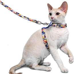Supet Ausbruchsicheres Katzengeschirr mit Leine Blau Größe M – Bild 1 von 8