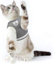 Supet Katzengeschirr mit Leine für Katzen und Kitten Grau – Bild 1 von 7