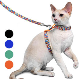 Supet Katzengeschirr und Leine ausbruchsicher verstellbar Katzenweste Orange Größe M – Bild 1 von 8