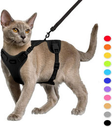 Supet Katzengeschirr und Leine Set fluchtsicher Schwarz reflektierend – Bild 1 von 8