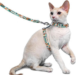 Supet Katzenweste mit Geschirr und Leine aus Stoff grau und verstellbar ausbruchsicher – Bild 1 von 7