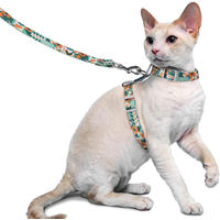 Produktbild von Supet Katzenweste mit Geschirr und Leine aus Stoff grau und verstellbar ausbruchsicher