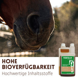 Supravit Bronchialkräuter Pferd Liquid Ergänzungsfutter 1000ml - 1 l – Bild 1 von 8