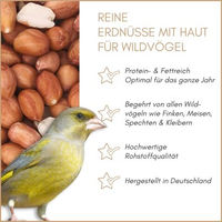 Produktbild von Supravit Erdnüsse rot mit Haut als Vogelfutter und Eichhörnchenfutter 25 kg