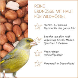 Supravit Erdnüsse rot mit Haut als Vogelfutter und Wildvogelfutter für Eichhörnchen und Meisen 2,5 kg – Bild 1 von 10
