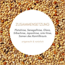 Supravit Exotenfutter Mischfutter für Prachtfinken und Zebrafinken 5 kg - 5 kg – Bild 1 von 10