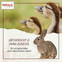 Produktbild von Supravit Futterweizen Ergänzungsfutter für Tauben und Vögel vegan 2500g