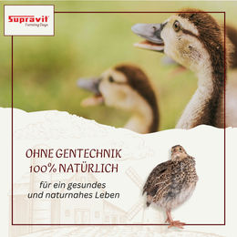 Supravit Geflügelkörnerfutter Hühnerfutter für Hühner, Enten und Wachteln ohne Gentechnik 5 kg – Bild 1 von 6