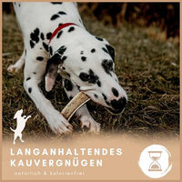Produktbild von Supravit Gespaltenes Hirschgeweih für Hunde Klein ohne Farb- und Aromastoffe