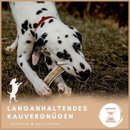 Supravit Gespaltenes Hirschgeweih für Hunde XS ohne Farb- und Aromastoffe – Bild 1 von 5