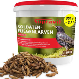 Supravit Getrocknete Soldatenfliegenlarven Insektenfutter für Wildvögel 1000g – Bild 1 von 3