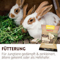 Produktbild von Supravit Hafer ganz gelber Futterhafer ungeschält für Pferde 20kg