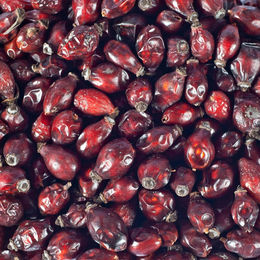 Supravit Hagebutten Ergänzungsfutter für Pferde und Ponys mit Vitaminen, 2kg Eimer - 2 kg – Bild 1 von 13