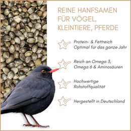 Supravit Hanfsamen Vogelfutter für Wildvögel mit Omega-3-Fettsäuren 2,5kg – Bild 1 von 6