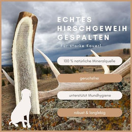 Supravit Hirschgeweih für Hunde Monoprotein Naturkauartikel – Bild 1 von 6