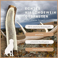 Produktbild von Supravit Hirschgeweih für Hunde Monoprotein Naturkauartikel